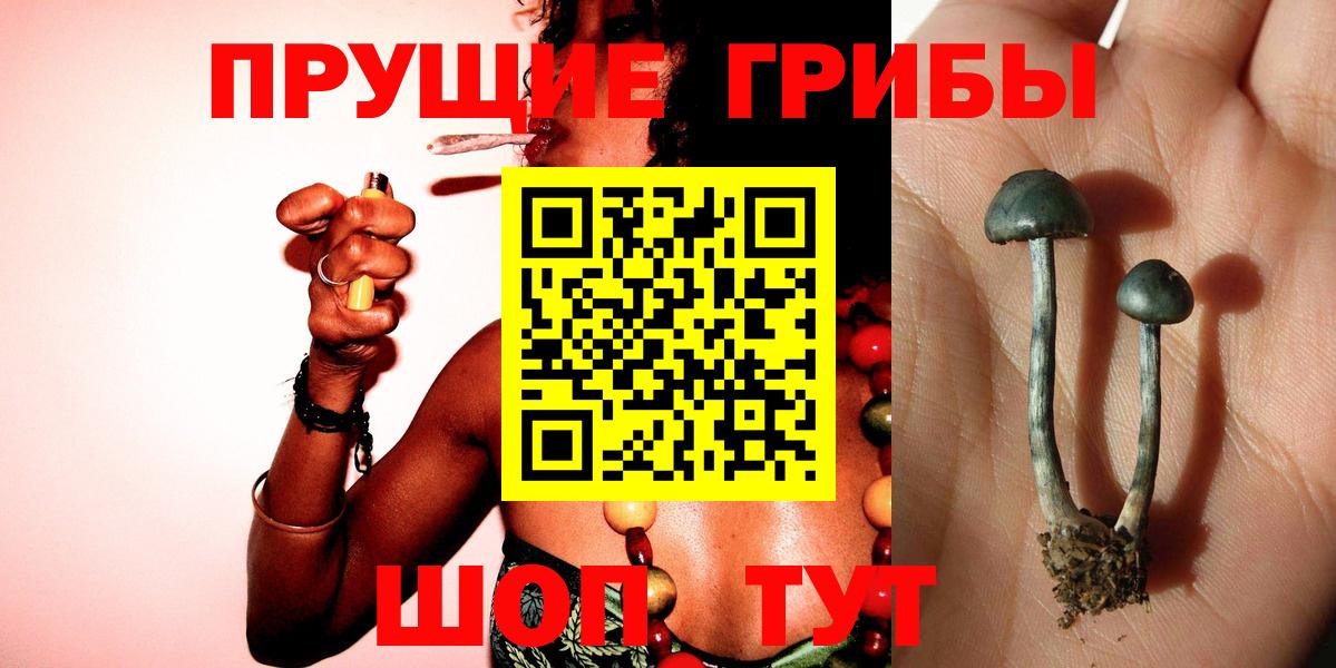 магазин  наркотиков  Псилоцибиновые грибы мицелий  Галлюциногенные грибы Cubensis  Вход с VPN  Смоленск 