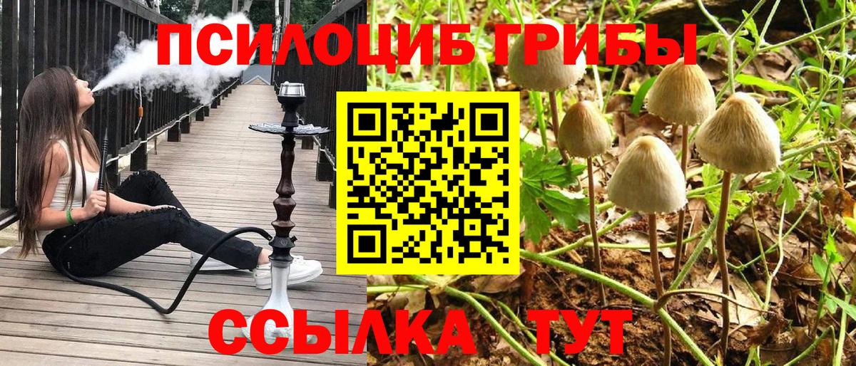Псилоцибиновые грибы MAGIC MUSHROOMS Смоленск